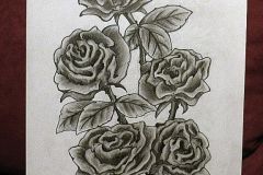 rosen
